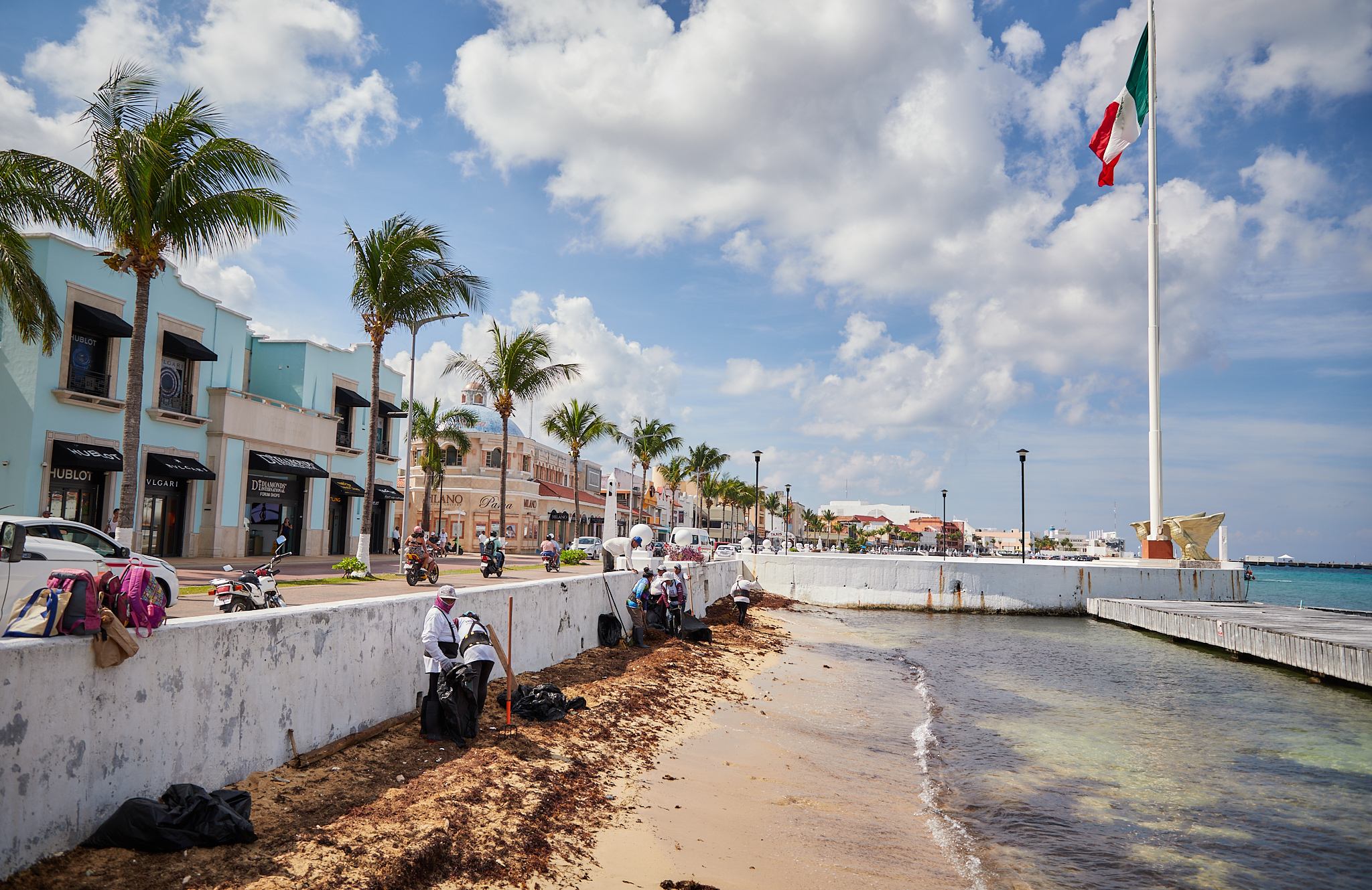 MALECÓN DE COZUMEL LIBRE DE SARGAZO POR TRABAJO CONJUNTO - Ayuntamiento de  Cozumel