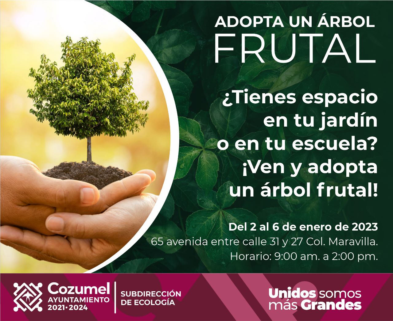 GOBIERNO MUNICIPAL FOMENTA EL CUIDADO DEL MEDIO AMBIENTE REFORESTANDO