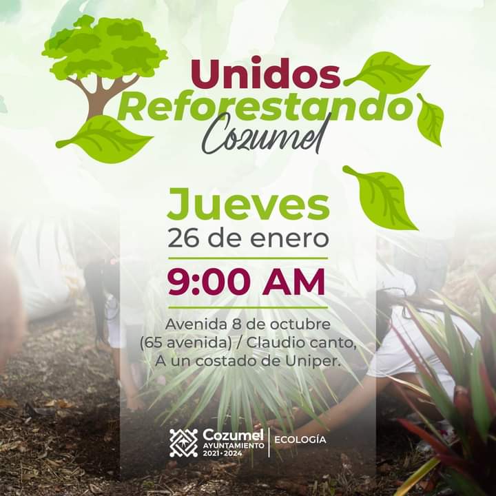 FAMILIAS PODRÁN PARTICIPAR EN “UNIDOS REFORESTANDO COZUMEL” - Ayuntamiento  de Cozumel