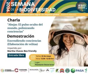 imagen del boletin